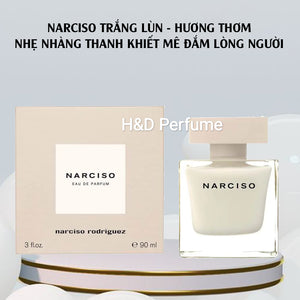 narciso trắng lùn