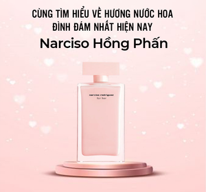 Narciso hồng phấn